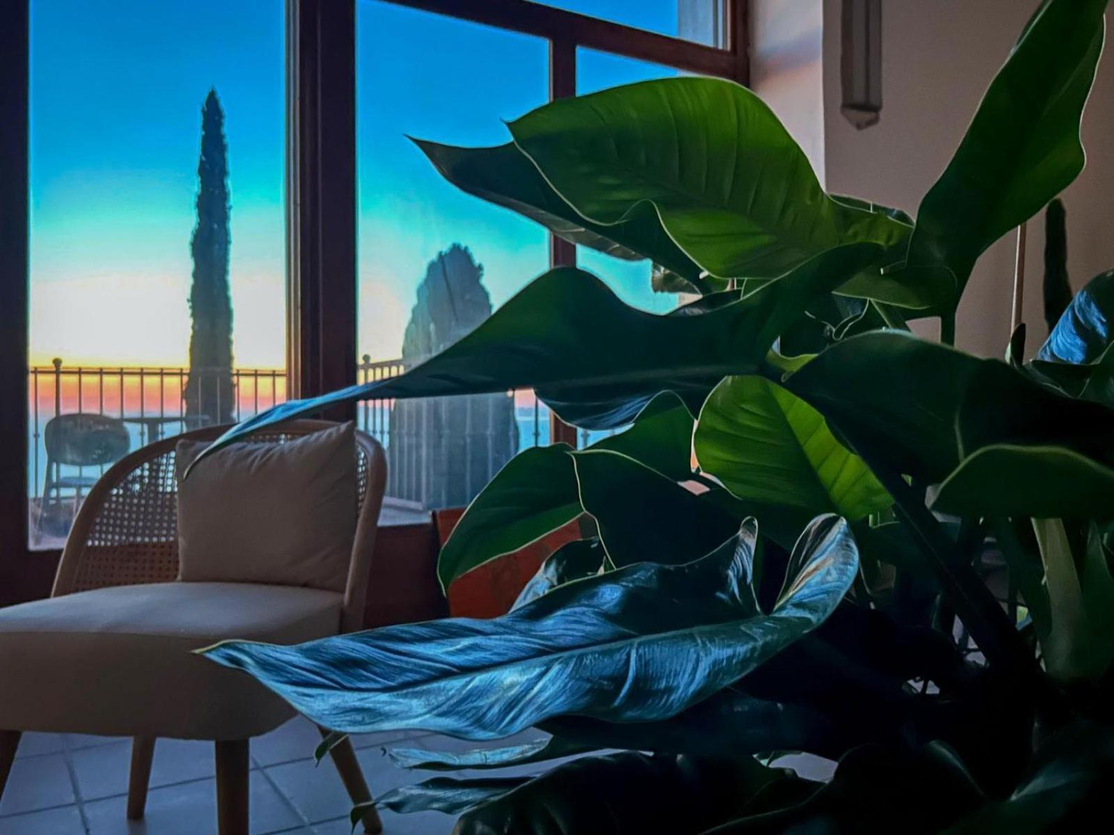 Villa Velta Sea Sunset Porto Santo Stefano  Eksteriør billede